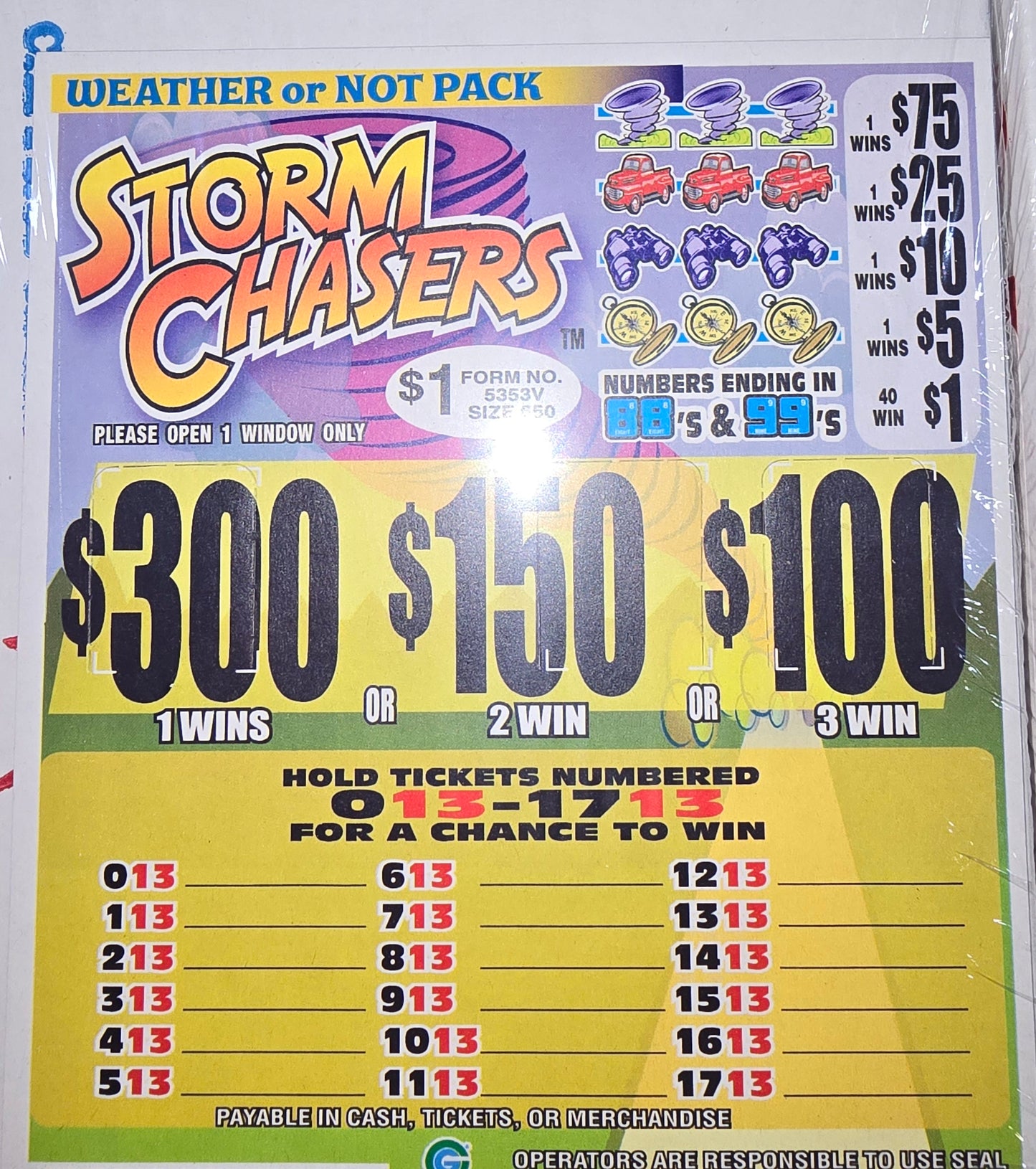 STORM CHASERS