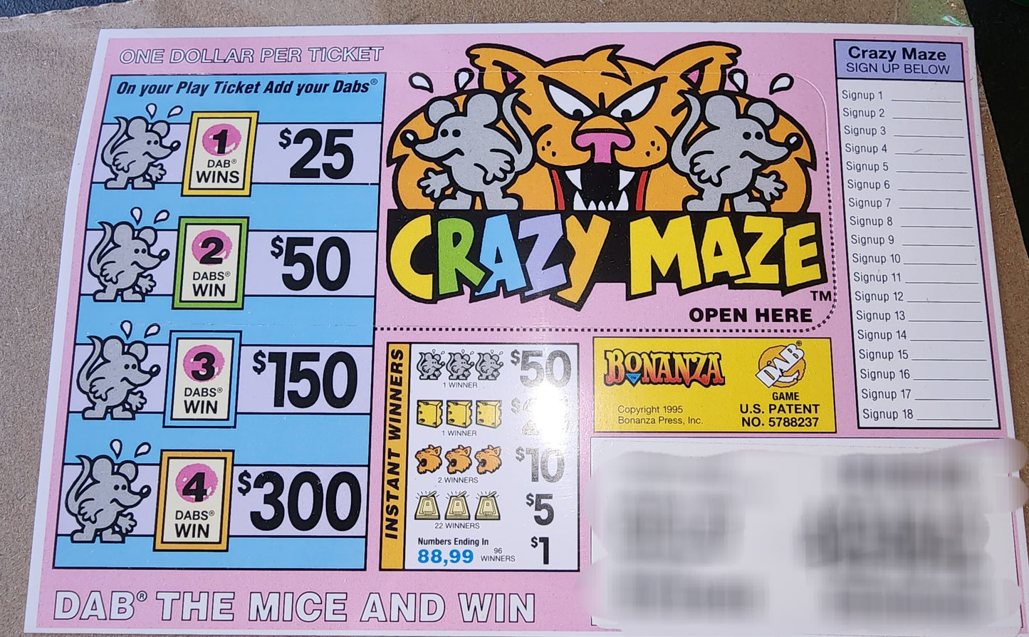 CRAZY MAZE