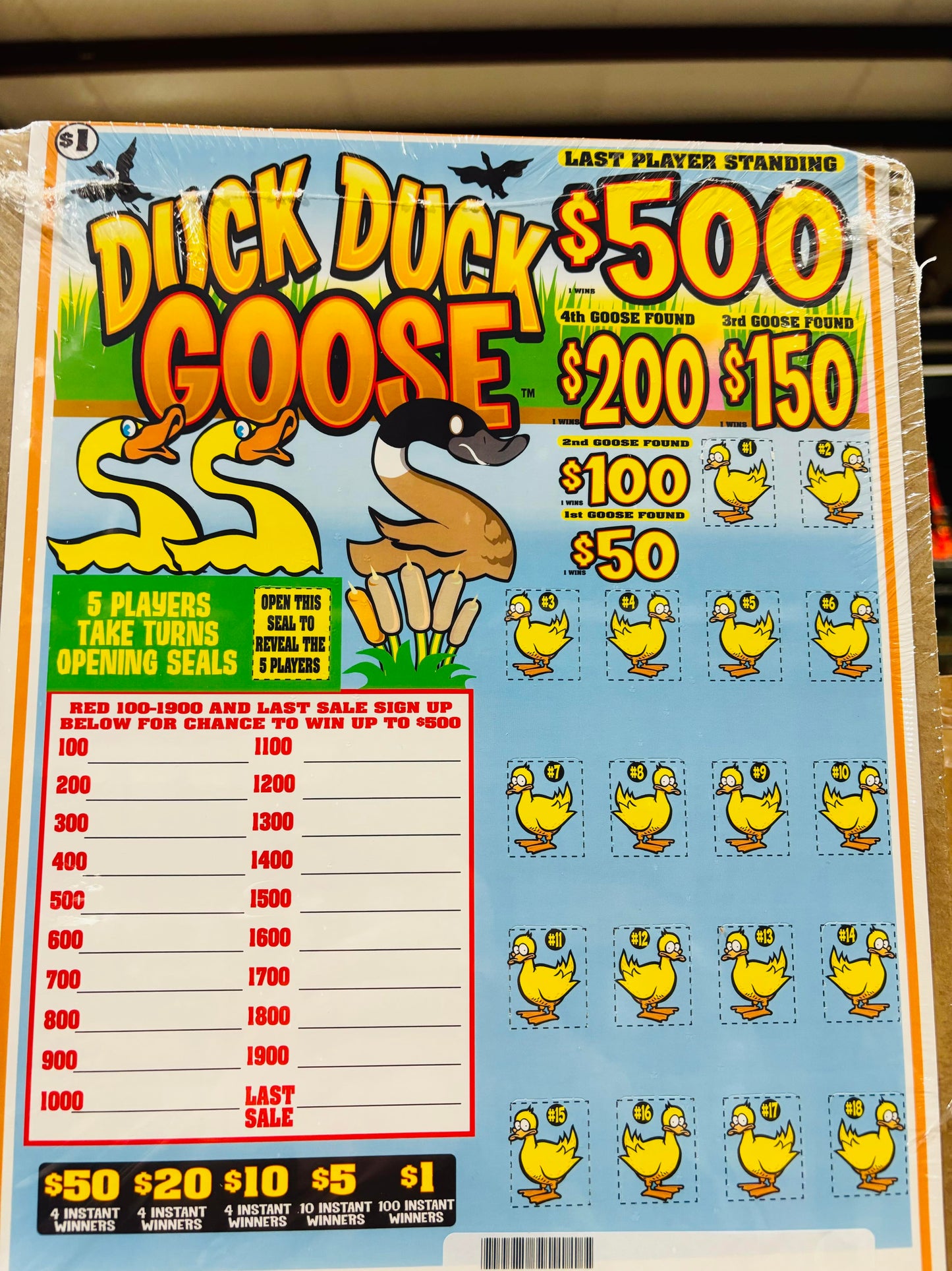 DUCK DUCK GOOSE (A)