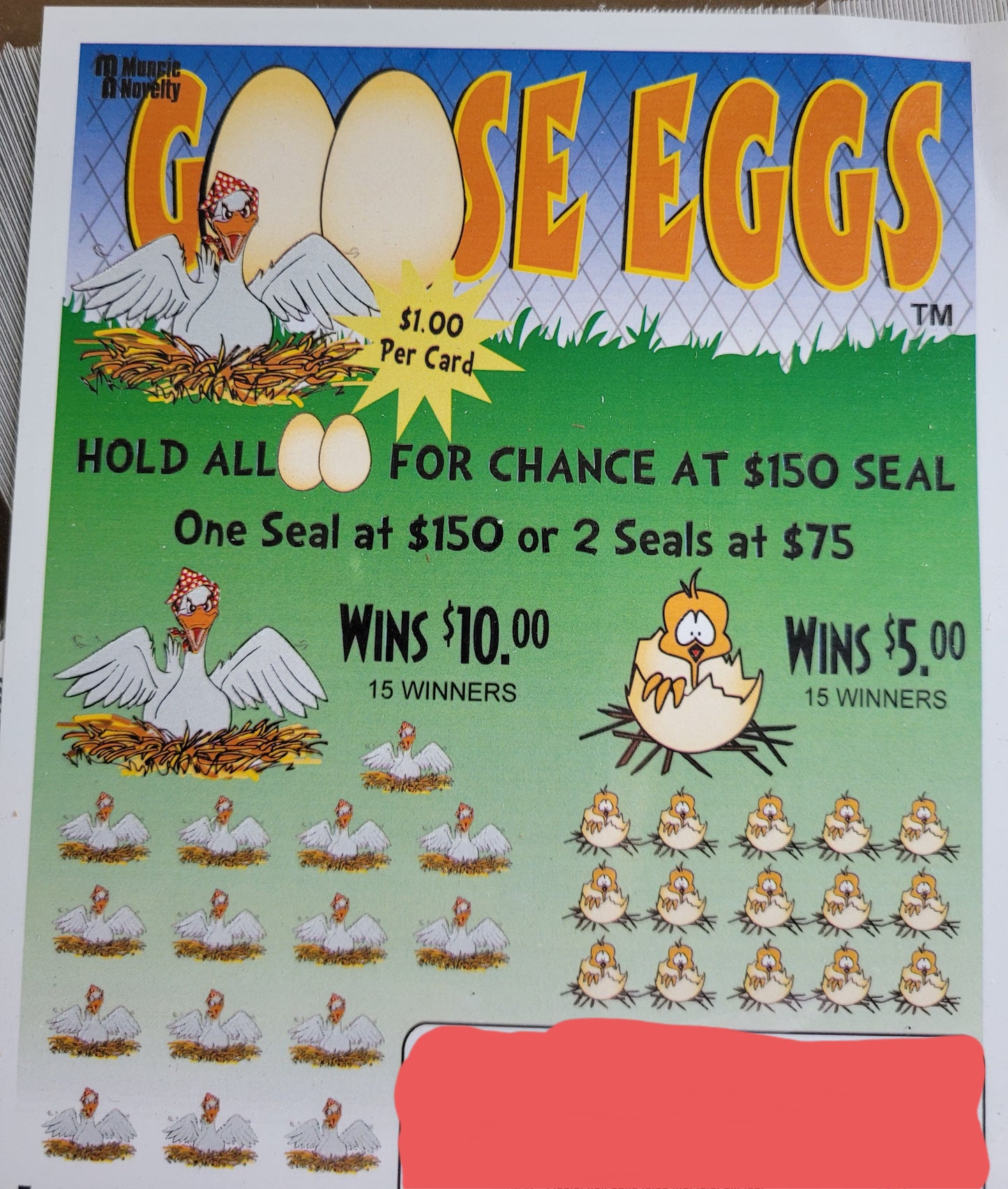 GOOSE EGGS